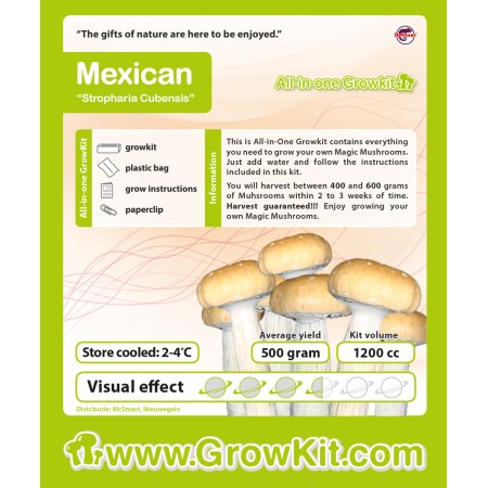 Growkit mexican (Psilocybe Cubensis)