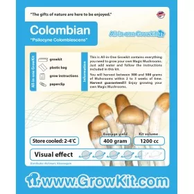 Growkit columbian (Psilocybe Cubensis)