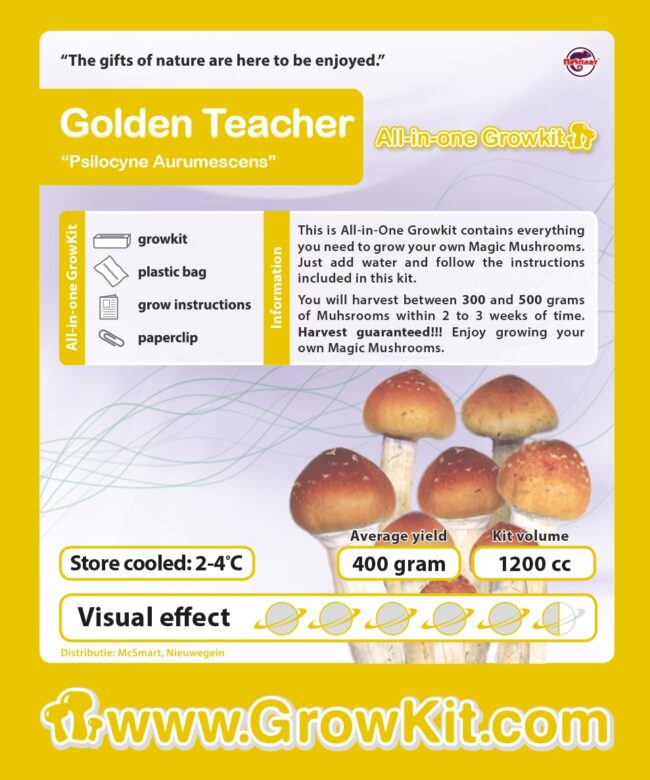 Growkit_Golden_teacher_mushlove_pl