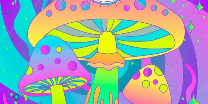 Mazatapec – pierwsza podróż Mazatapec - pierwsza podróż