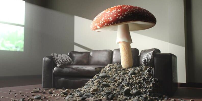 Growkit Golden Teacher