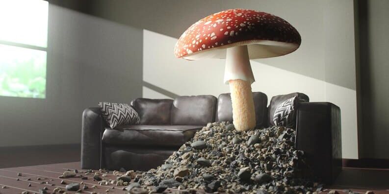 Growkit Golden Teacher