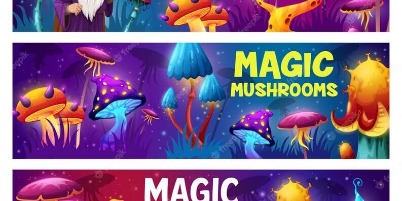 Moje Pierwsze Psychodeliczne Doświadczenie: Podróż Ku Samoświadomości