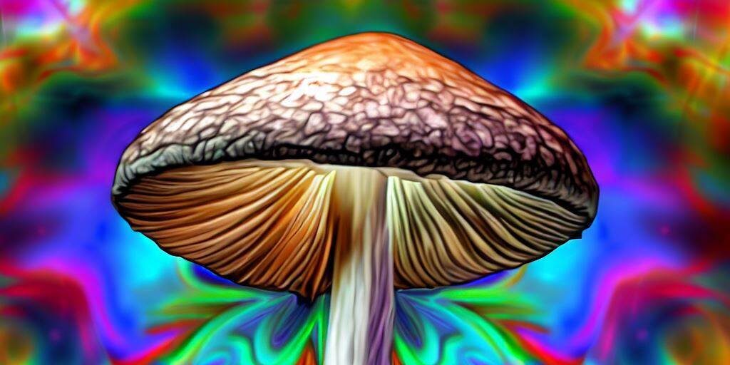 Golden Teacher - jak dawkować ?