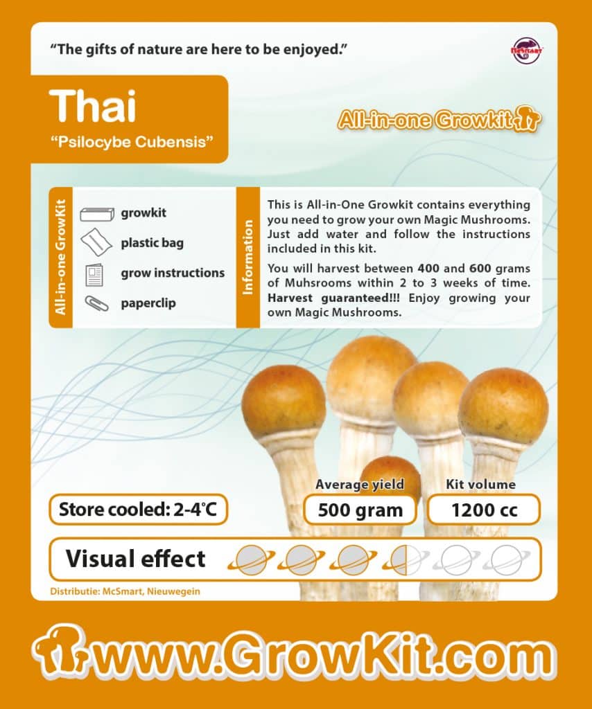 Growkit_Thai_mushlove_pl