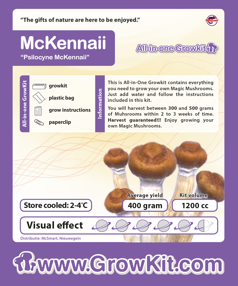Growkit McKennaii (Psilocybe Cubensis)